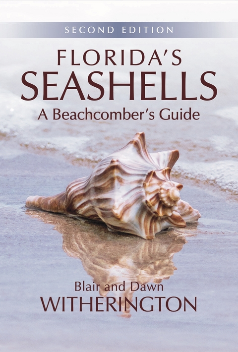 Florida's Seashells - Blair Witherington, Dawn Witherington