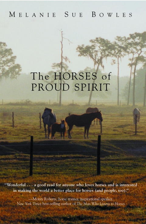 Horses of Proud Spirit -  Melanie Sue Bowles