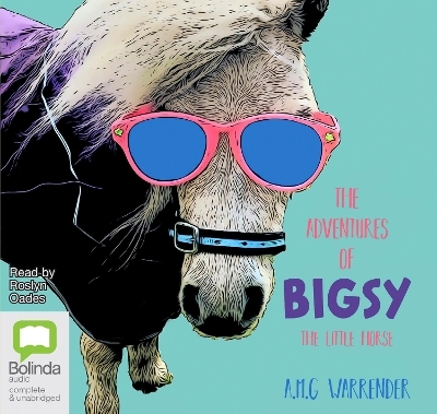 The Adventures of Bigsy - The Little Horse - A.M.G. Warrender