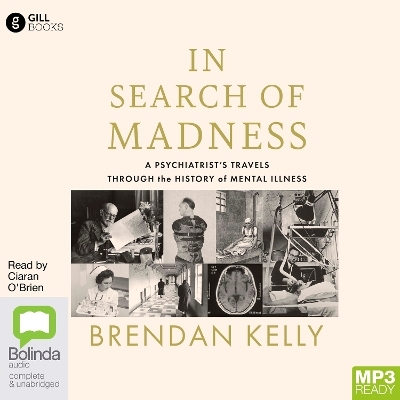 In Search of Madness - Brendan Kelly