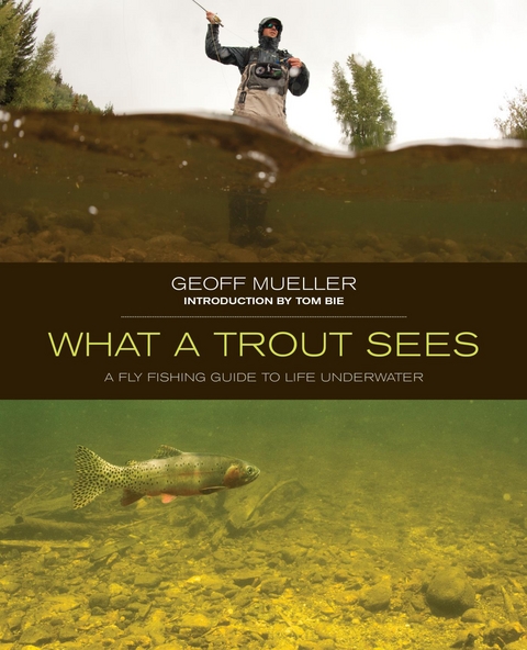 What a Trout Sees -  Geoff Mueller