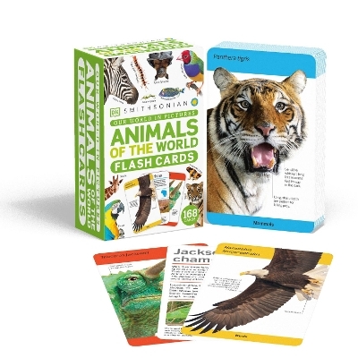 Our World in Pictures Animals of the World Flash Cards -  Dk