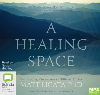 A Healing Space - Matt Licata