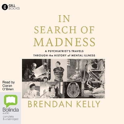 In Search of Madness - Brendan Kelly