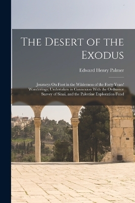 The Desert of the Exodus - Edward Henry Palmer