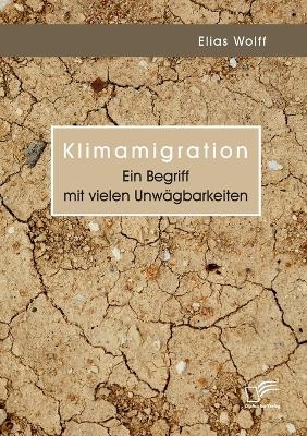 Klimamigration. Ein Begriff mit vielen UnwÃ¤gbarkeiten - Elias Wolff