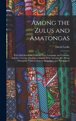 Among the Zulus and Amatongas - David Leslie