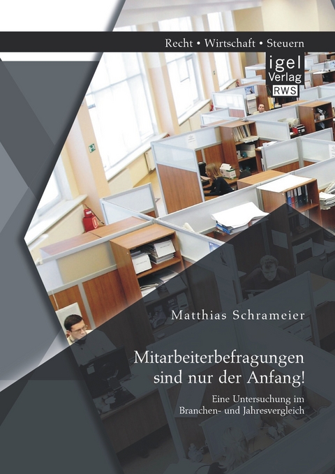 Mitarbeiterbefragungen sind nur der Anfang! Eine Untersuchung im Branchen- und Jahresvergleich - Matthias Schrameier