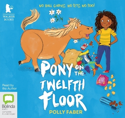 Pony on the Twelfth Floor - Polly Faber
