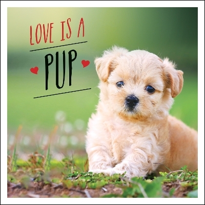 Love is a Pup - Charlie Ellis
