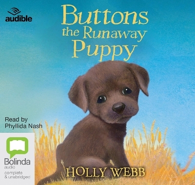Buttons the Runaway Puppy - Holly Webb