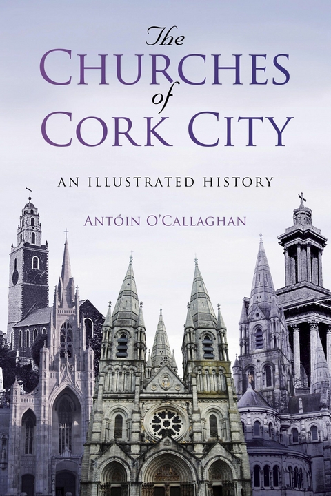 The Churches of Cork City -  Antoin O'Callaghan