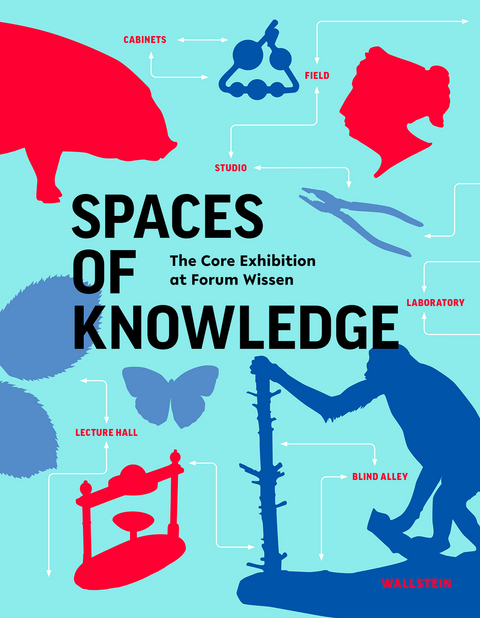 Spaces of knowledge - 
