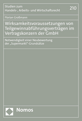 Wirksamkeitsvoraussetzungen von Teilgewinnabführungsverträgen im Vertragskonzern der GmbH - Florian Großmann