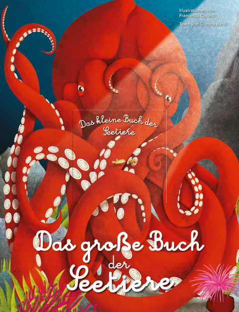 Das groÎ²e Buch der Seetiere. Das kleine Buch der Seetiere - Cristina Banfi