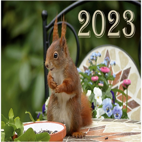 Kalender 2023 - Eichhörnchen - Elke Lützner