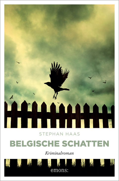 Belgische Schatten - Stephan Haas