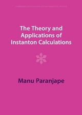 The Theory and Applications of Instanton Calculations - Paranjape, Manu