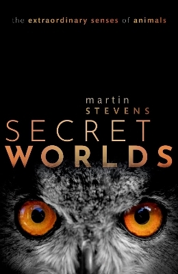 Secret Worlds - Martin Stevens