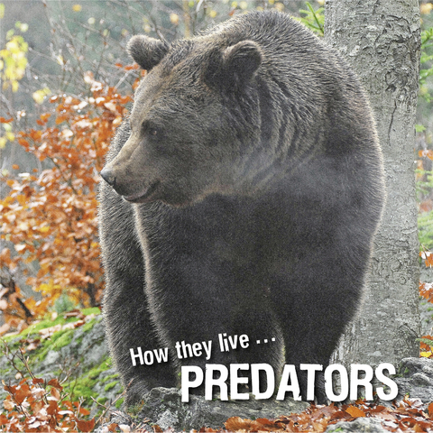 How they live... Predators -  Ivan Esenko,  David Withrington