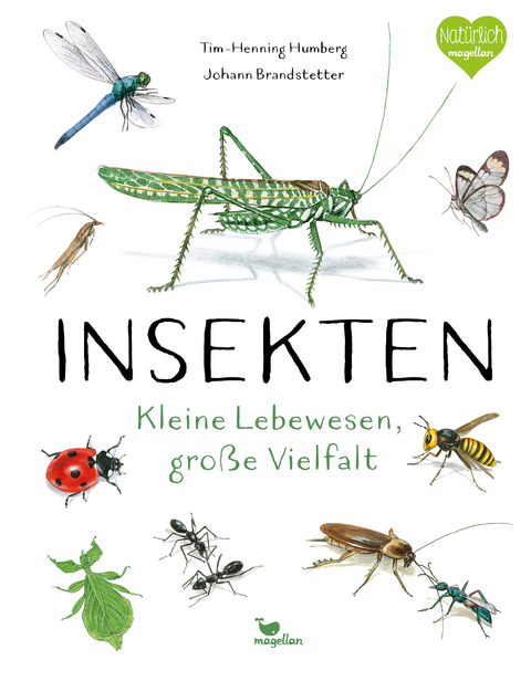 Insekten - Kleine Lebewesen, große Vielfalt - Tim-Henning Humberg