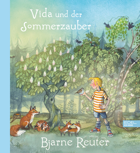Vida und der Sommerzauber - Bjarne Reuter