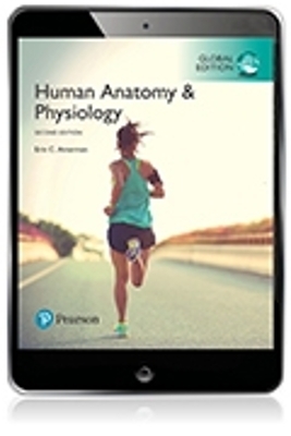 Human Anatomy and Physiology, Standalone Pearson eText, Global Edition - Erin Amerman