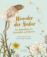 Wunder der Natur. Ein Augenblick zum Innehalten und Staunen - Laura Brand, Freya Hartas