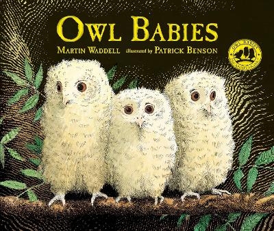 Owl Babies - Martin Waddell