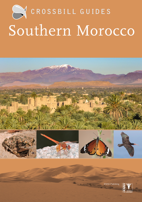 Southern Morocco - Martin Pitt