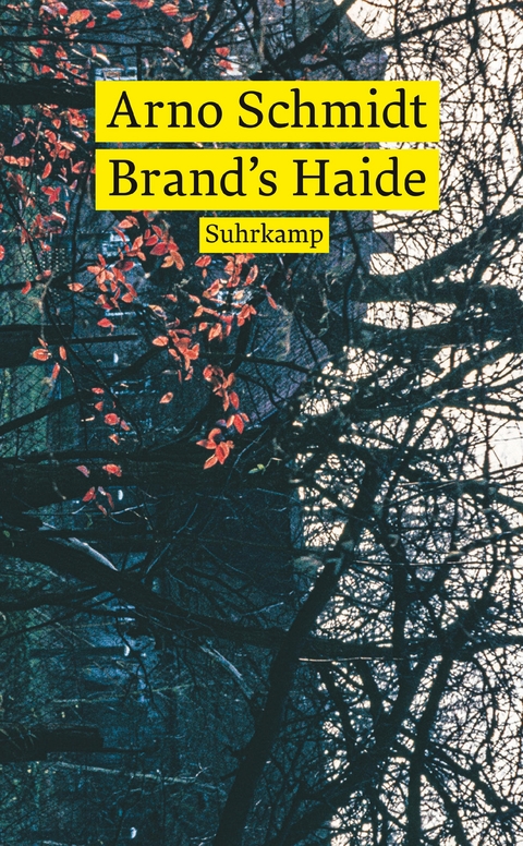 Brand’s Haide - Arno Schmidt