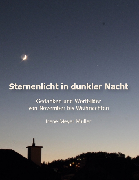 Sternenlicht in dunkler Nacht - Irene Meyer Müller
