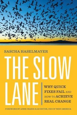 The Slow Lane - Sascha Haselmayer, Anne-Marie Slaughter