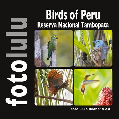 Birds of Peru - Sr. fotolulu