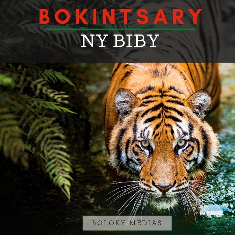 Bokintsary - Ny biby - Boloky Médias
