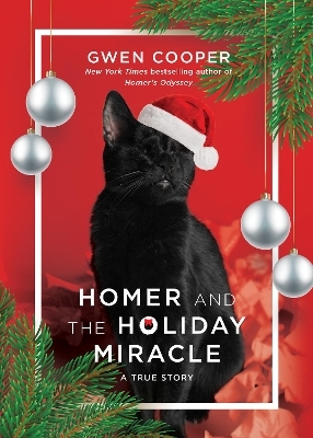 Homer and the Holiday Miracle - Gwen Cooper