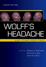 Wolff's Headache and Other Head Pain - Silberstein, Stephen D.; Lipton, Richard B.; Dodick, David W.