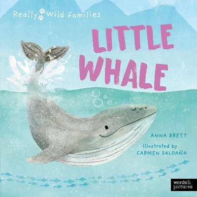 Little Whale - Anna Brett