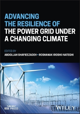 Advancing the Resilience of the Power Grid under a  Changing Climate -  Shafieezadeh