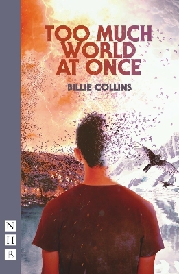 Too Much World at Once - Billie Collins
