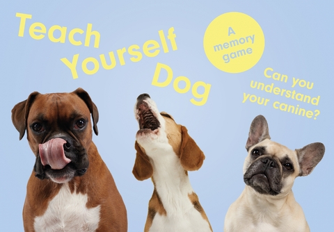 Teach Yourself Dog - Gerrard Gethings, Louise Glazebrook