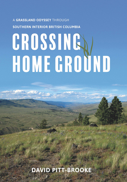 Crossing Home Ground -  David Pitt-Brooke