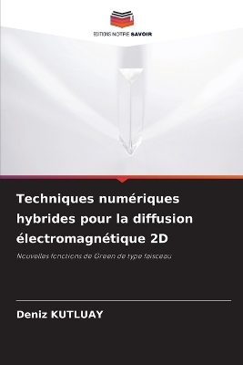 Techniques numériques hybrides pour la diffusion électromagnétique 2D - Deniz KUTLUAY