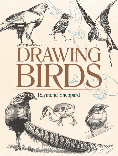 Drawing Birds -  Raymond Sheppard