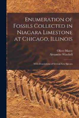 Enumeration of Fossils Collected in Niagara Limestone at Chicago, Illinois; With Descriptions of Several new Species - Winchell Alexander 1824-1891, Marcy Oliver 1820-1899