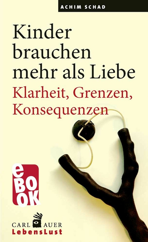 Kinder brauchen mehr als Liebe - Achim Schad