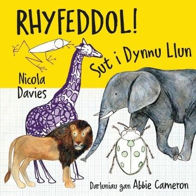 Rhyfeddol! Sut i Dynnu Llun - Nicola Davies