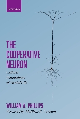 The Cooperative Neuron - William A. Phillips