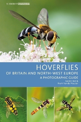 Hoverflies of Britain and North-west Europe - Sander Bot, Frank Van de Meutter