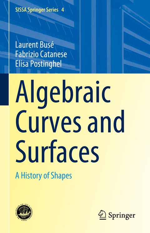Algebraic Curves and Surfaces - Laurent Busé, Fabrizio Catanese, Elisa Postinghel